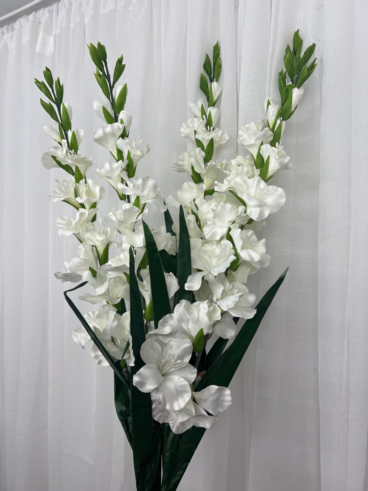 White Gladiola Stems