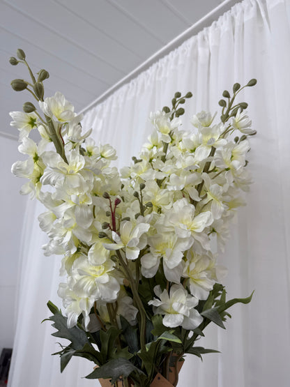 Tall White Delphinium Stem