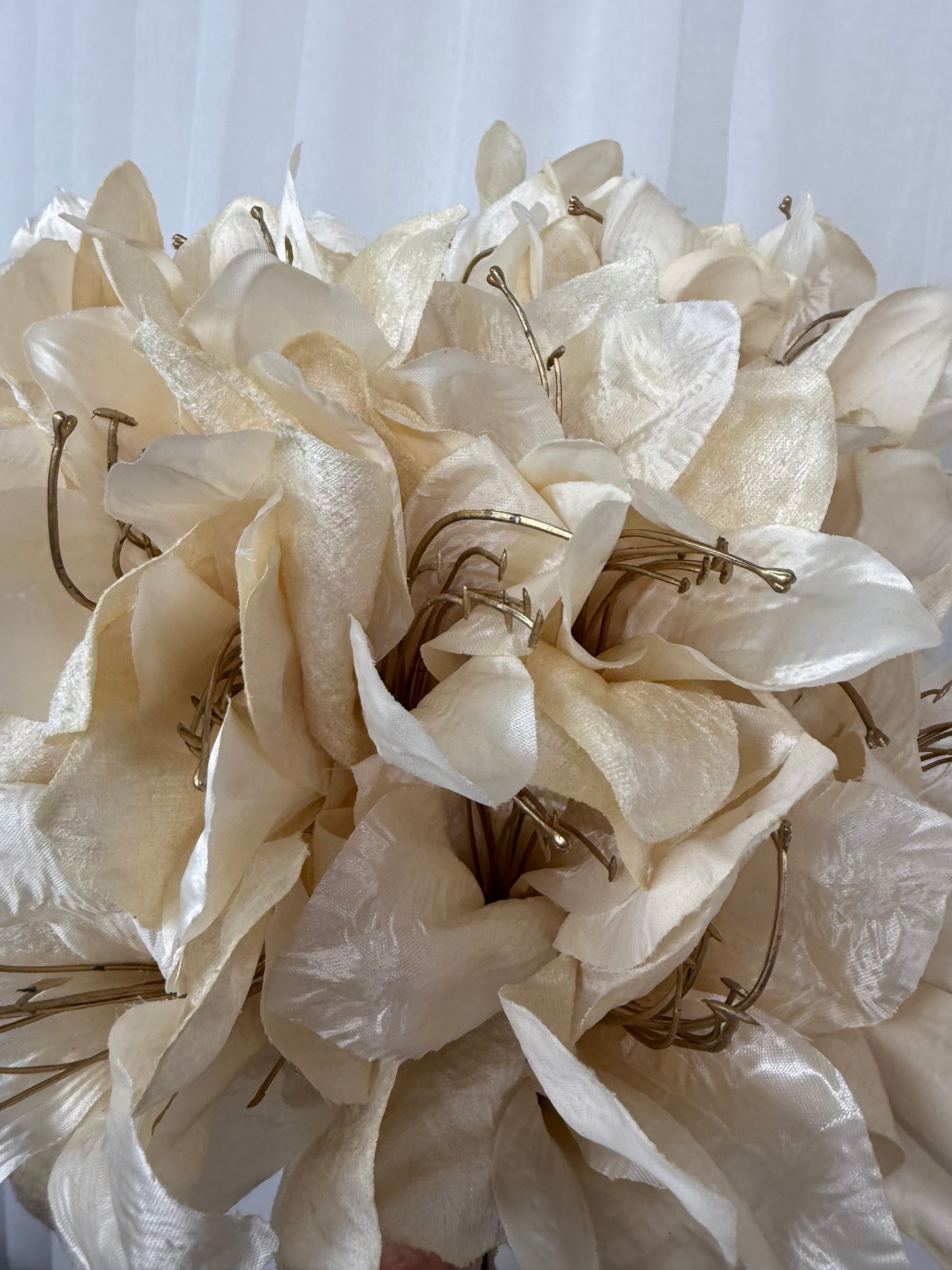 Ivory Amaryllis Stem