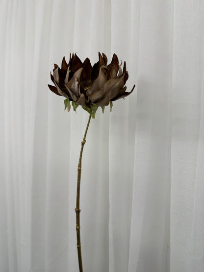 Carob Sunflower Stem