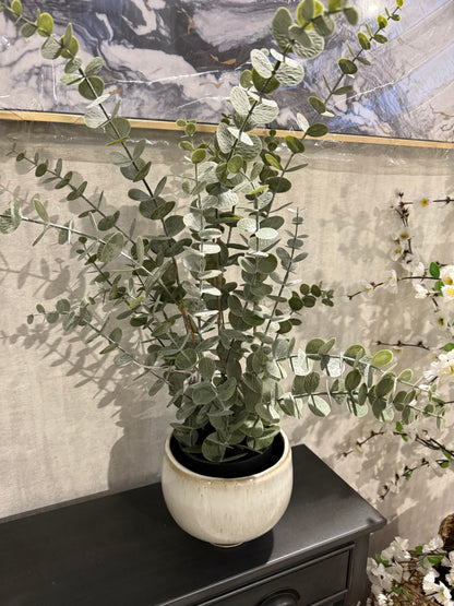 Earth Ware Speckled Pot