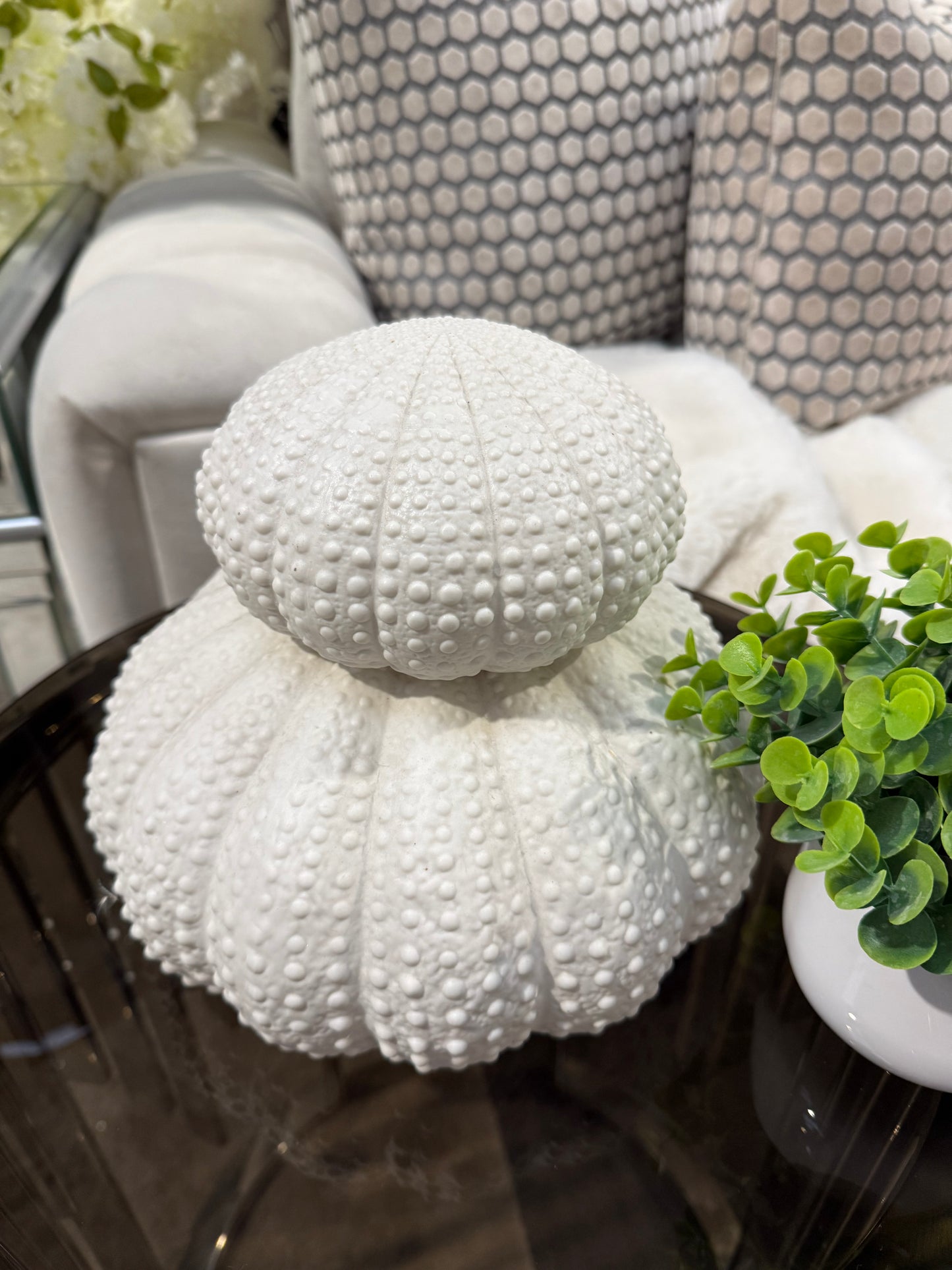 White Urchin Decor Set