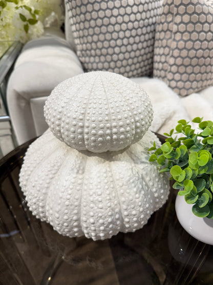 White Urchin Decor Set
