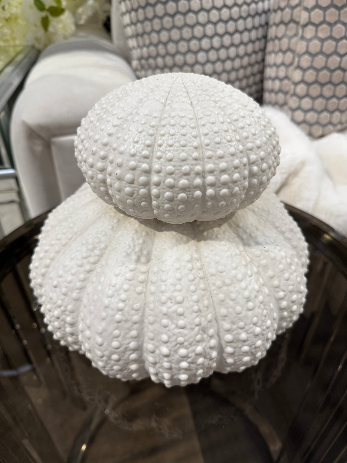 White Urchin Decor Set