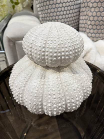 White Urchin Decor Set