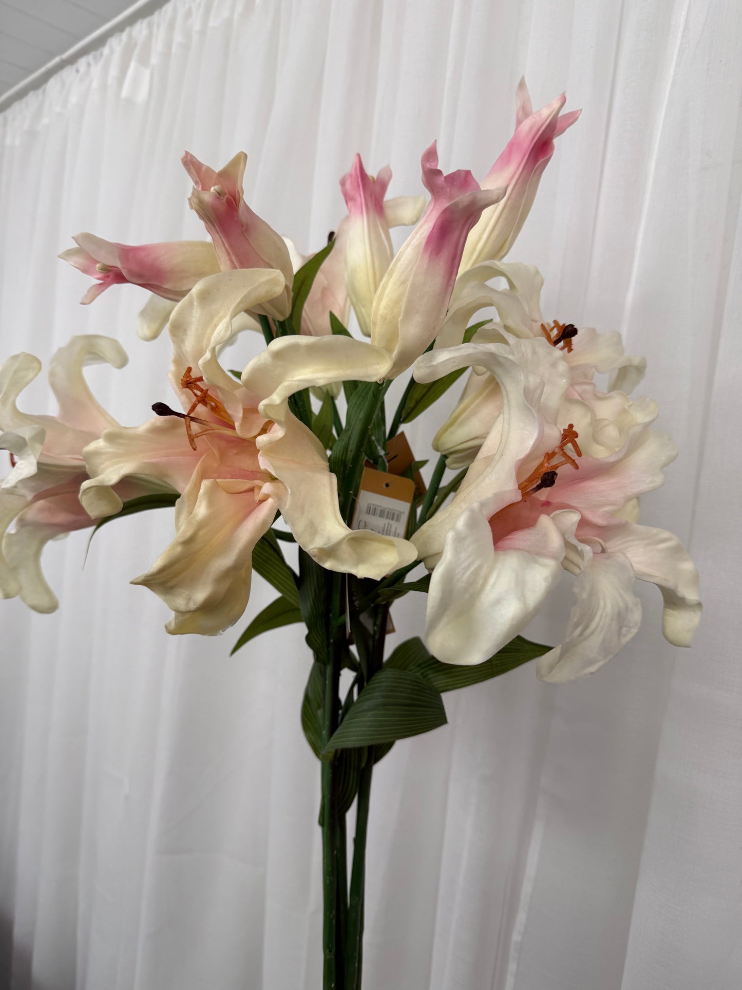 Lillie Spray Stems