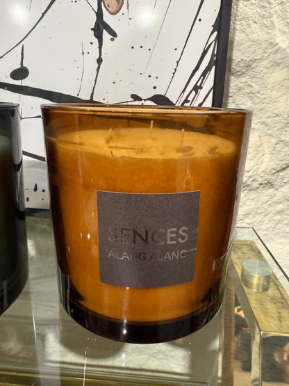 Alang Alang Candle - Sences - 3 Wick