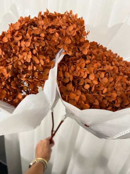 Preserved Dried Natural Hydrangeas