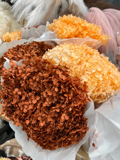 Preserved Dried Natural Hydrangeas