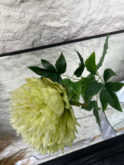 Green Peony