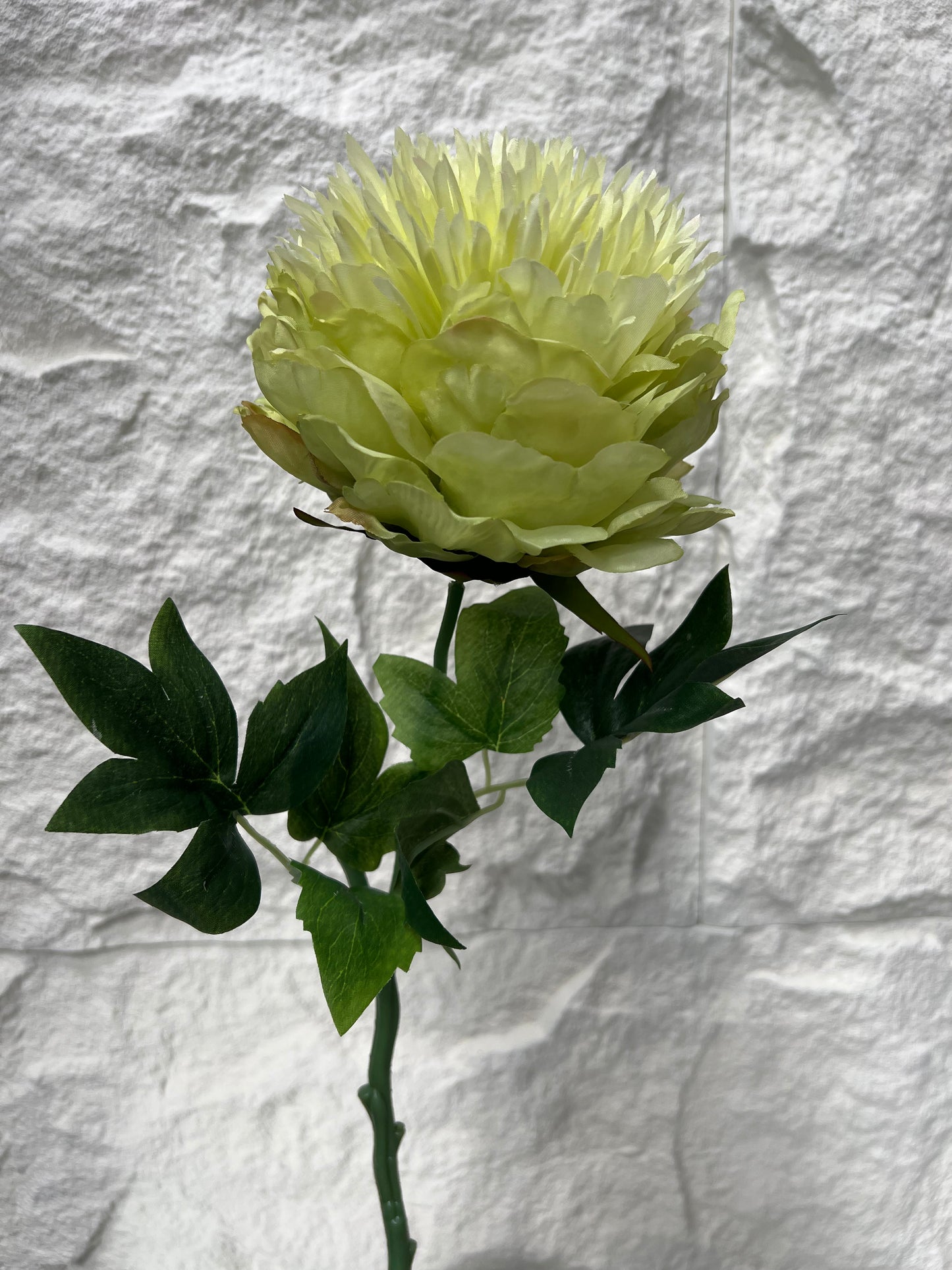 Green Peony