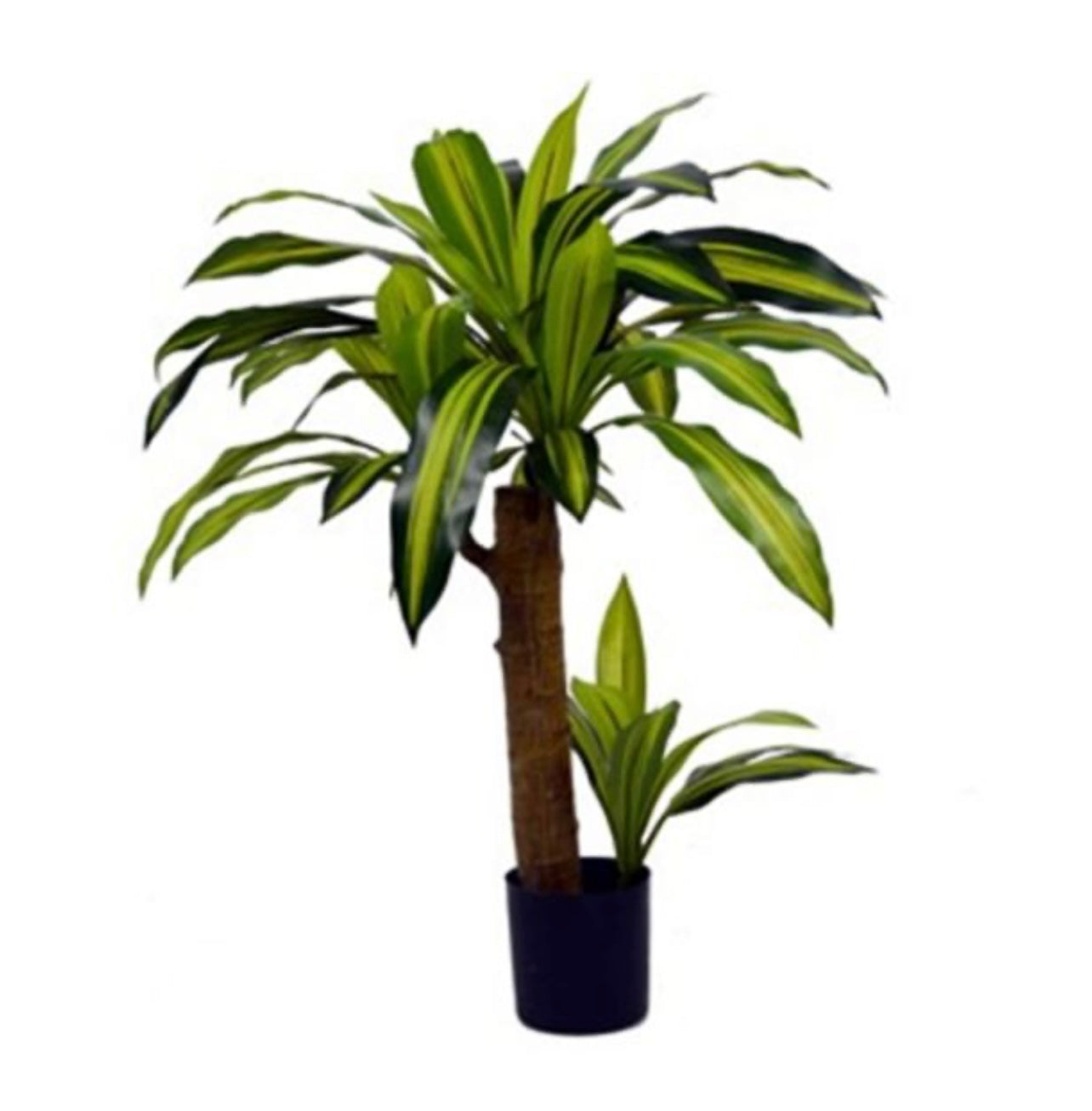 80cm Artificial Dracaena Plant