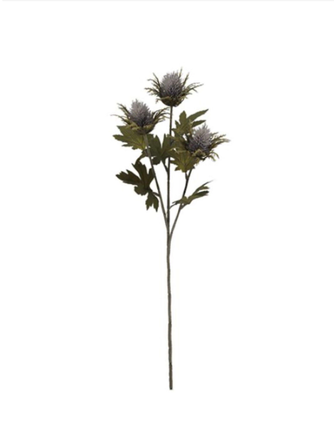 67cm Teasel Spray Grey