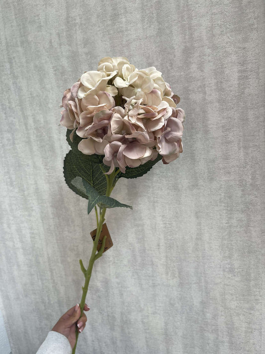 Hydrangea Stem - Vanilla Peach